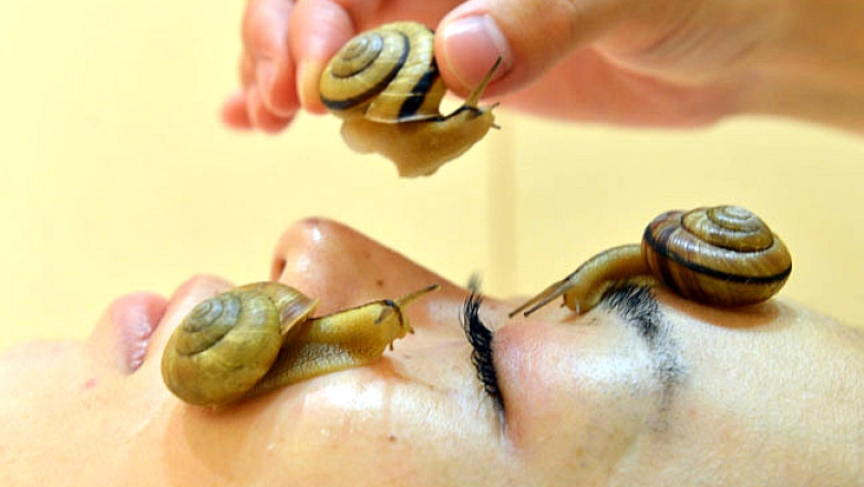 Tratament cosmetic cu melci vii: Un salon din Tokio foloseste gasteropodele pentru curatarea tenului Imagine