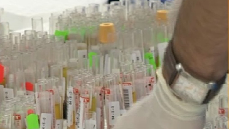 Tratament nou pentru bolnavii de hepatita C. Pacientii vor beneficia, compensat, de tripla terapie Imagine