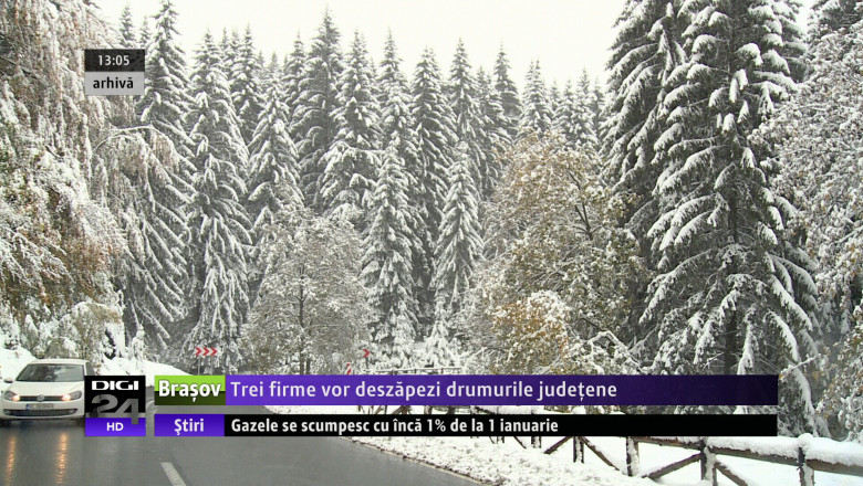 Trei firme vor deszapezi drumurile judetene  Imagine