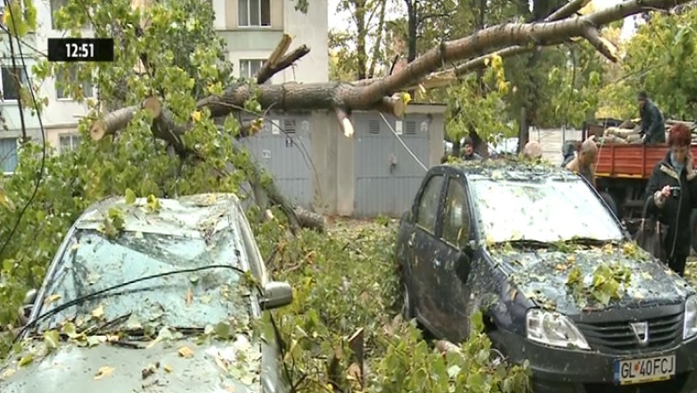 Trei masini avariate de un copac doborat de vant Imagine