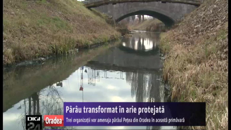 Trei organizatii vor transforma paraul Petea in prima arie protejata urbana din tara Imagine