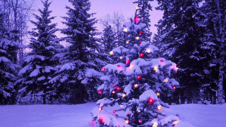 Trei zile libere suplimentare pentru bugetari de sarbatori Imagine