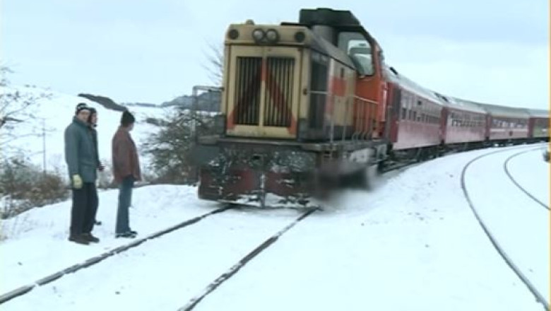 Tren deraiat, in Cluj, din cauza bivolilor. Proprietarul animalelor a fost amendat Imagine