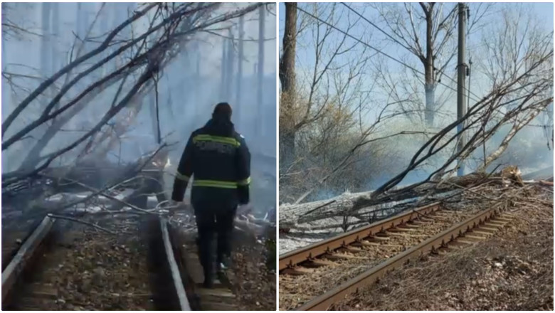 Trenuri oprite intre Valea Calugareasca si Ploiesti, dupa ce un copac a cazut pe calea ferata din cauza vantului puternic Imagine