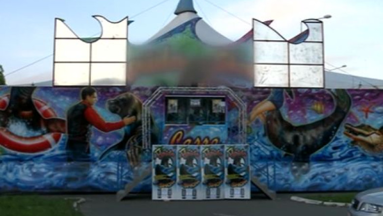 Tribuna prabusita la Vaslui. Proprietarii circului ambulant au fost amendati Imagine