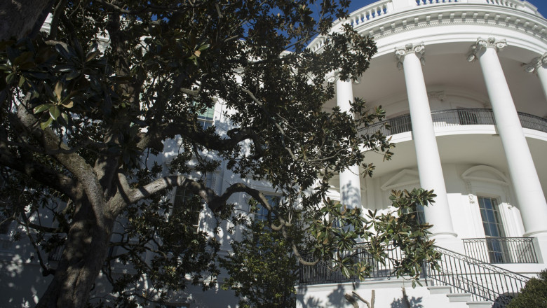 Trump anunta ca taie un copac istoric, plantat acum aproape 200 de ani la Casa Alba. „Pun in loc un alt arbore, foarte dragut” Imagine