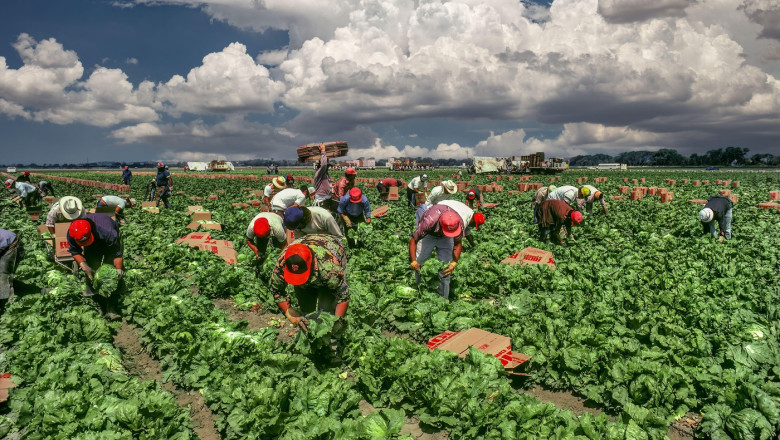 Trump spune ca administratia SUA lucreaza la introducerea unui „permis temporar” pentru imigrantii din anumite sectoare ale economiei Imagine