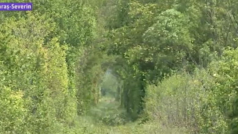 Tunelul dragostei, un secret bine pastrat Imagine