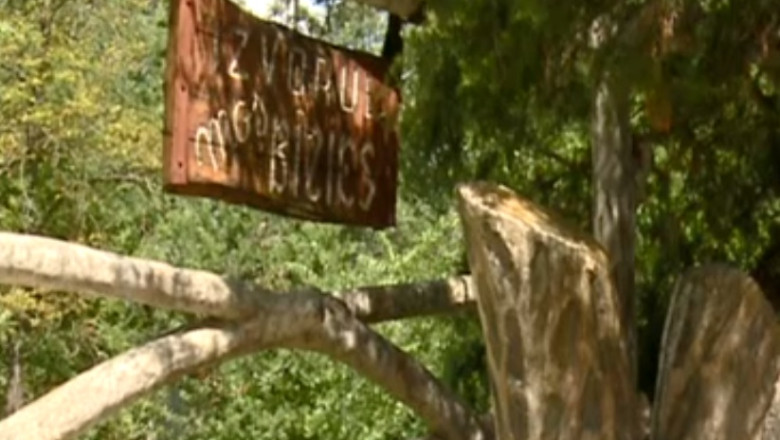 TURIST ACASA. Buzias si apele tamaduitoare Imagine