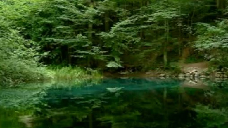 TURIST ACASA. Incursiune pe Cheile Nerei Imagine