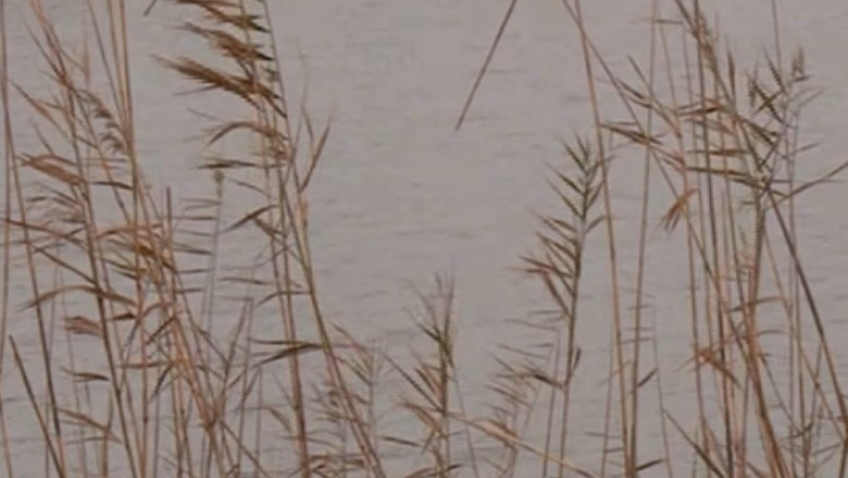 TURIST ACASA. Lacul Corbu, locul favorit al pescarilor Imagine