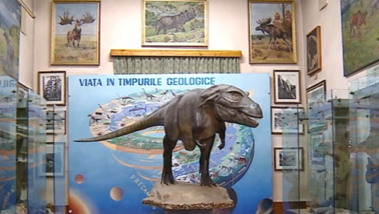 TURIST ACASA. Primul muzeu deschis in Principatele Romane Imagine