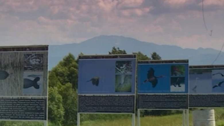 TURIST ACASA. Rezervatia Dumbravita, delta din mijlocul Carpatilor Imagine