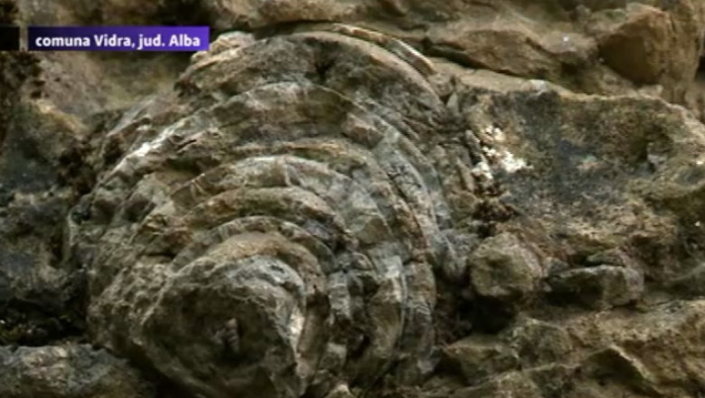 TURIST ACASA. Valea melcilor de piatra Imagine