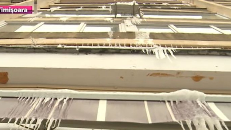 turturii de pe cladiri, un adevarat pericol pentru trecatori: ”E dezastru” Imagine