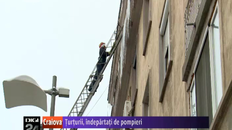 turturii, indepartati de pompieri. Angajatii ISU Dolj au intervenit in centrul Craiovei   Imagine