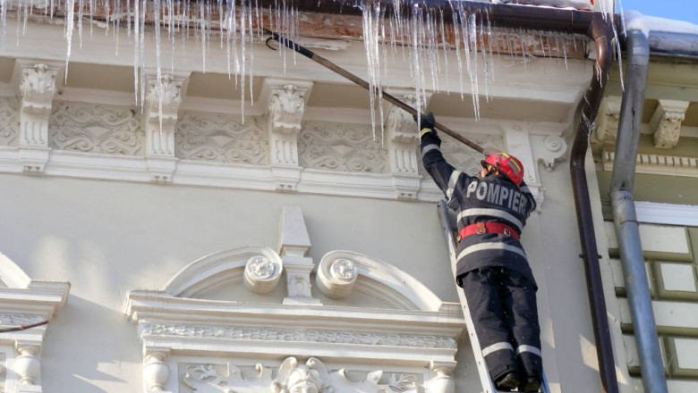 turturii, un pericol pentru trecatori Imagine