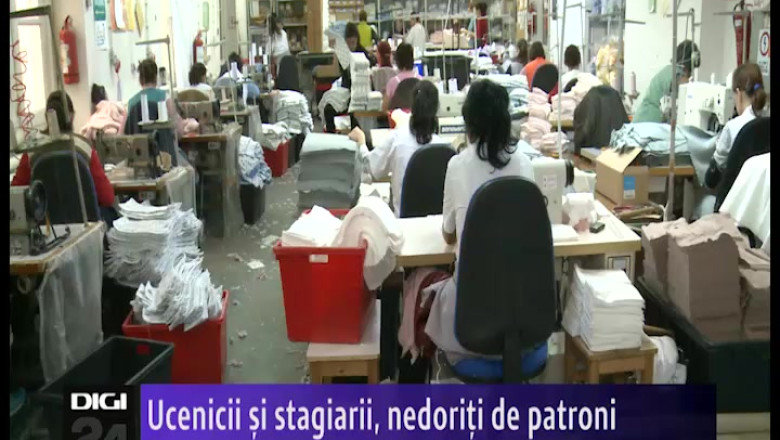 Ucenicii si stagiarii, nedoriti de patroni Imagine