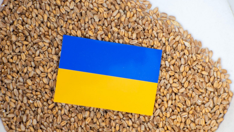 Ucraina, Polonia si Lituania au incheiat un acord pentru tranzitul cerealelor. Controalele vor avea loc intr-un port lituanian Imagine