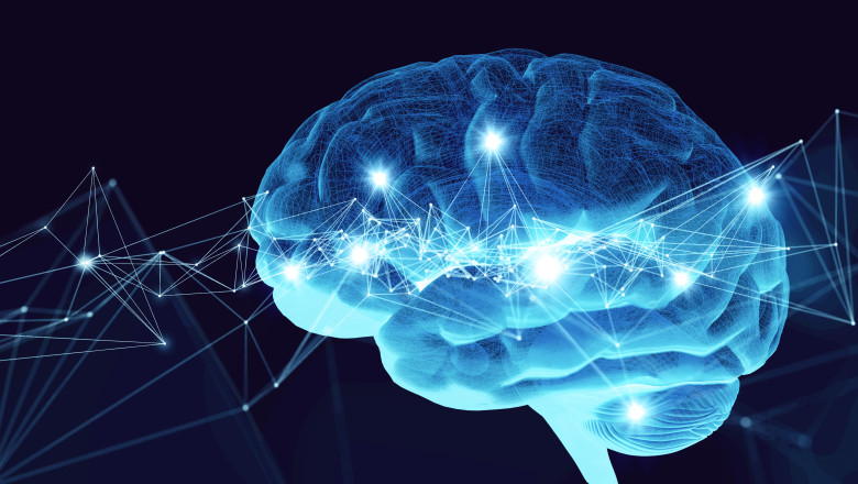 Uitarea poate fi o forma de invatare. Concluzia la care au ajuns expertii in neurostiinte din Marea Britanie Imagine