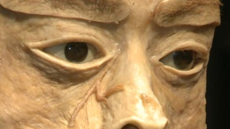 Ultima zi de vizitare a expozitiei The Human Body Imagine