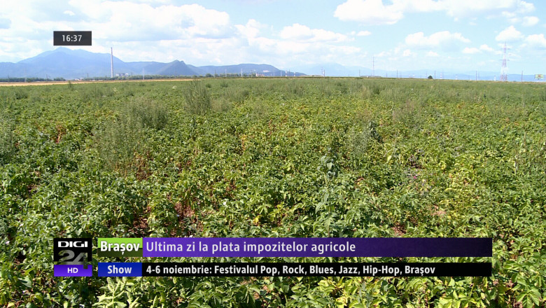 Ultima zi la plata impozitelor agricole Imagine