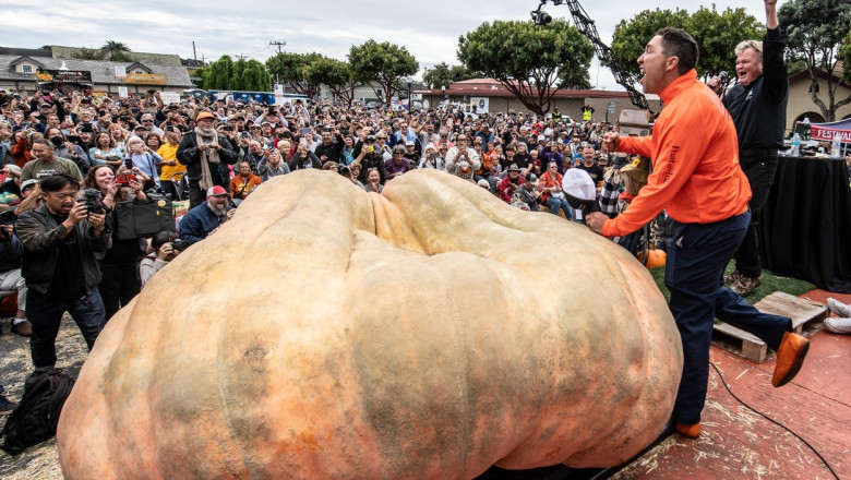 Un american a stabilit un record mondial cu dovleacul de 1.247 de kilograme care i-a crescut in gradina Imagine