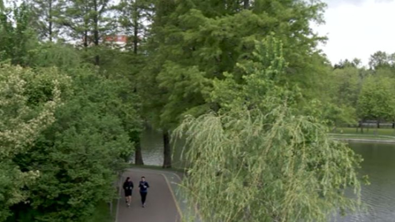 Un apropiat al fratelui lui Omar Hayssam a concesionat patru parcuri din Bucuresti Imagine