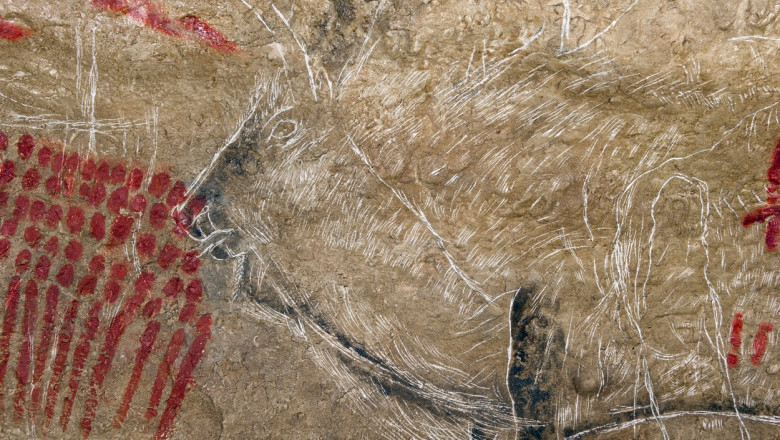 Un arheolog amator a descifrat semnificatia unor simboluri pictate in pesterile din toata Europa acum 20.000 de ani Imagine
