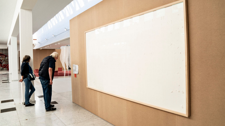 Un artist trebuie sa restituie aproape 70.000 de euro, dupa ce a furat bancnotele pe care trebuia sa le expuna intr-un muzeu Imagine