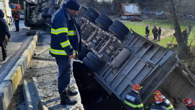 Un autocamion incarcat cu bovine s-a rasturnat pe DN 13. 12 animale au murit, 54 au fost salvate Imagine