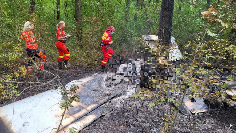 Un avion de agrement s-a prabusit in judetul Giurgiu: 2 persoane gasite carbonizate. Procurorii cerceteaza un eventual consum de alcool Imagine