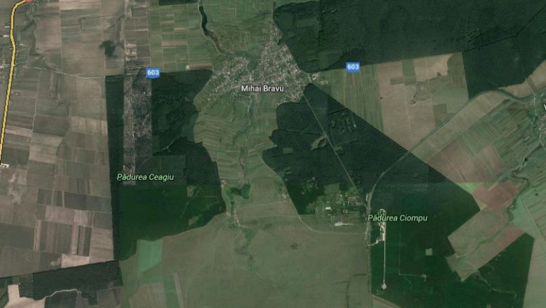 Un avion de mici dimensiuni a aterizat fortat in judetul Giurgiu Imagine