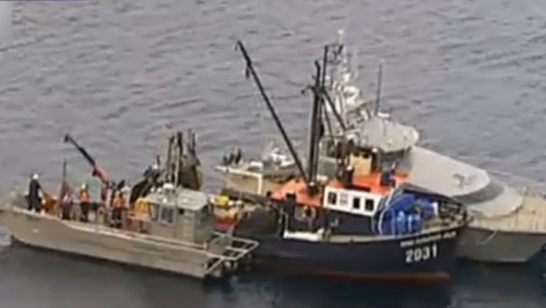 Un avion disparut in Noua Zeelanda, gasit de un pescar Imagine