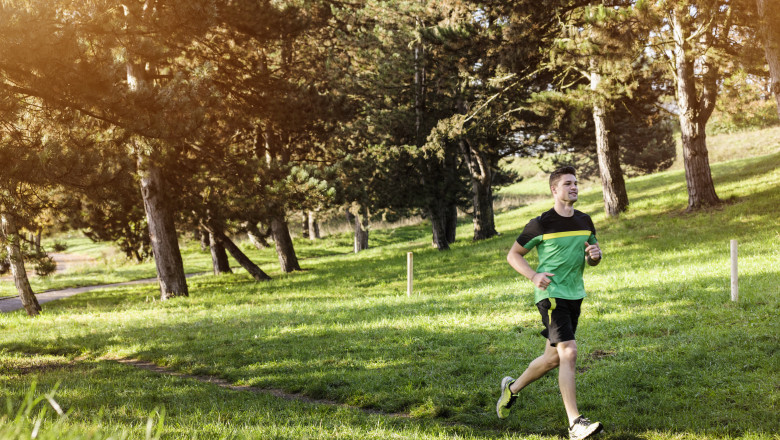 Un baiat care facea jogging a fost ucis de un urs, in Italia Imagine