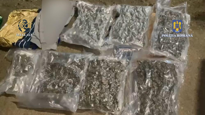 Un barbat a fost prins in flagrant de procurorii DIICOT dupa ce a comandat peste 6 kilograme de canabis din Spania Imagine