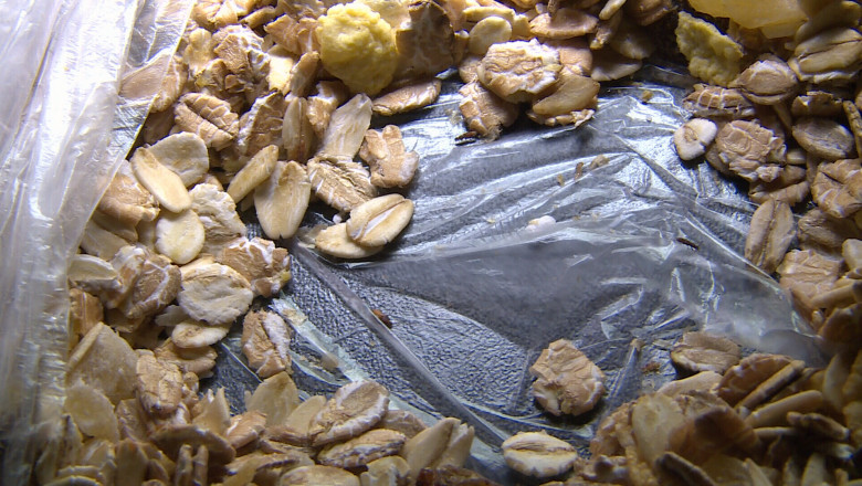 Un barbat a gasit gandaci in cerealele cumparate dintr-un hipermarket din Craiova Imagine