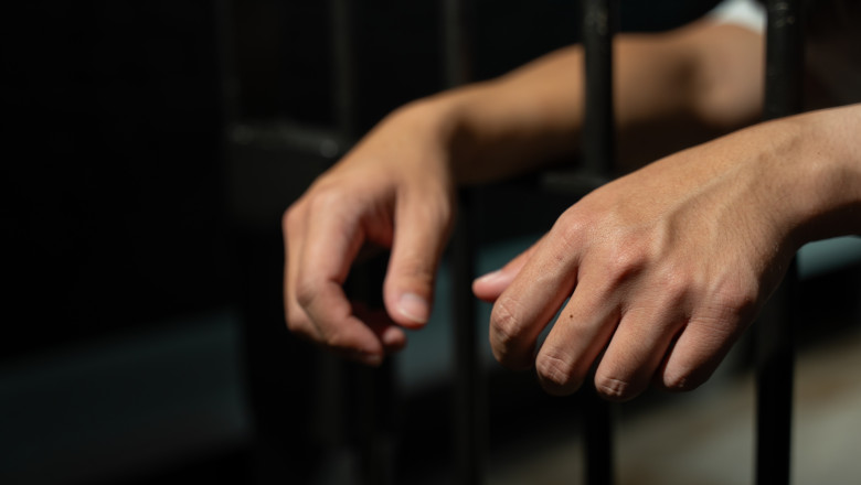 Un barbat din Botosani va face 10 luni de inchisoare, dupa ce cainele sau a atacat o vecina Imagine