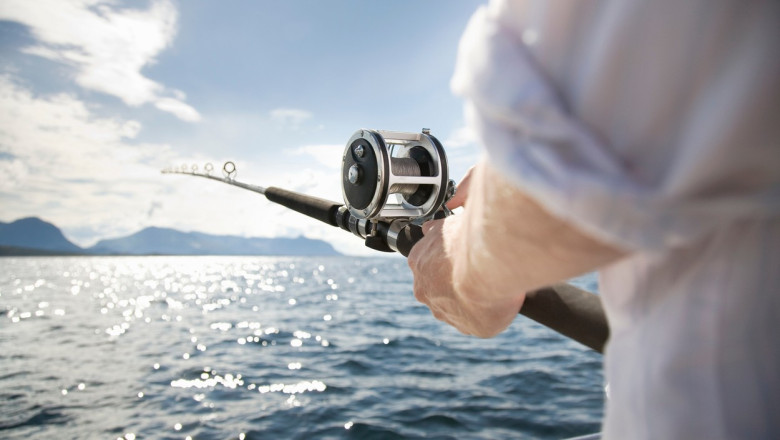 Un barbat din Dolj a murit electrocutat in timp ce pescuia. Undita a atins cablurile de inalta tensiune aflate deasupra locului Imagine