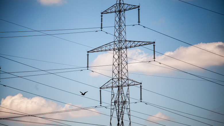 Un barbat suparat ca l-a parasit iubita a stat 60 de ore pe un stalp de inalta tensiune, in Mehedinti Imagine