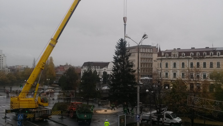 Un brad de Craciun, inalt de 12 metri, a fost amplasat in centrul Oradei Imagine