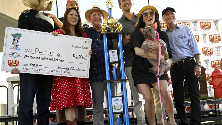 Un bulldog francez fara par a fost declarat „cel mai urat caine din lume”. Petunia a castigat un premiu de 5.000 de dolari Imagine