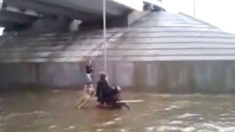 Un caine a impins scaunul cu rotile al stapanului sau, pe o strada inundata Imagine