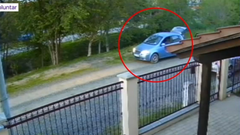 Un caine ar fi fost impuscat pe o strada de langa Timisoara. Un barbat a fost surprins pe camera de supraveghere Imagine