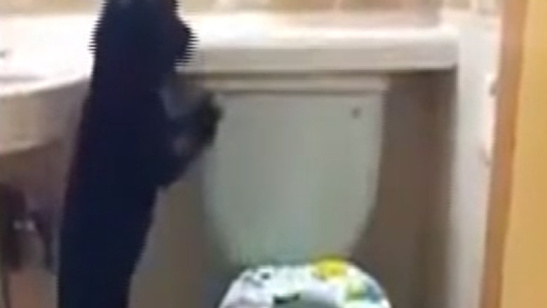 Un caine manierat. Patrupedul foloseste toaleta si a invatat sa traga si apa Imagine