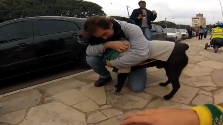 Un caine s-a intors la proprietarul lui dupa ce a calatorit timp de doua luni prin America de Sud Imagine