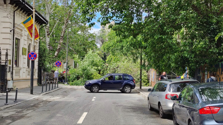 Un copac a cazut pe o strada din centrul Bucurestiului: doua masini avariate. Circulatia in zona este blocata Imagine
