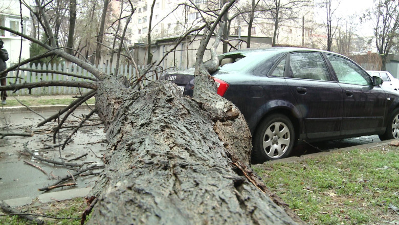 Un copac a cazut peste o masina Imagine