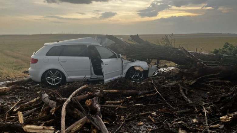 Un copac doborat de vant a cazut peste o masina in care se aflau doua femei si doi copii, in Teleorman Imagine