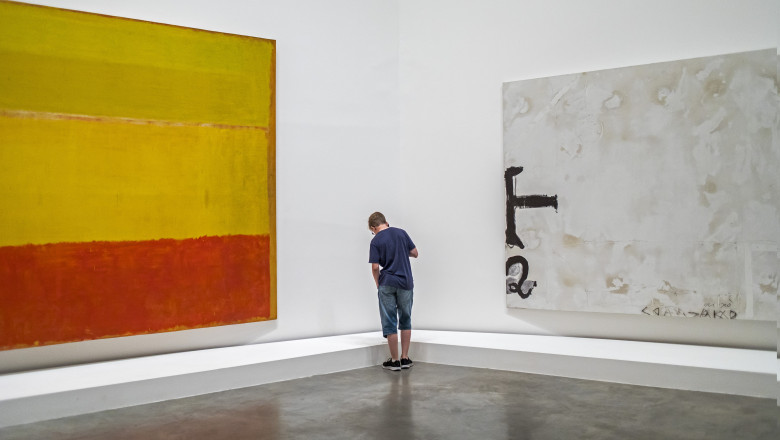 Un copil a deteriorat un tablou in valoare de 50 de milioane de euro intr-un muzeu din Rotterdam Imagine